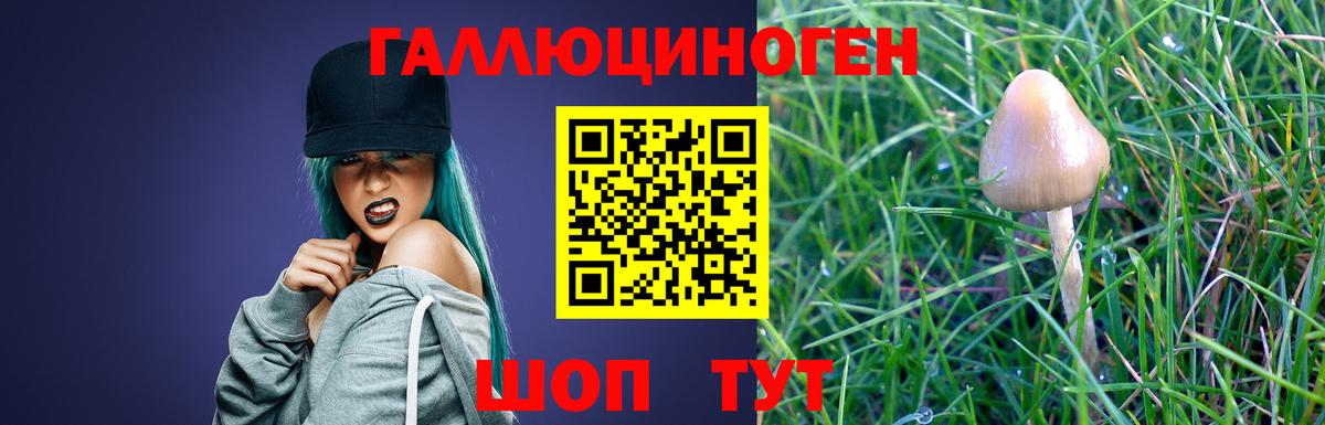 Псилоцибиновые грибы Psilocybe Асбест
